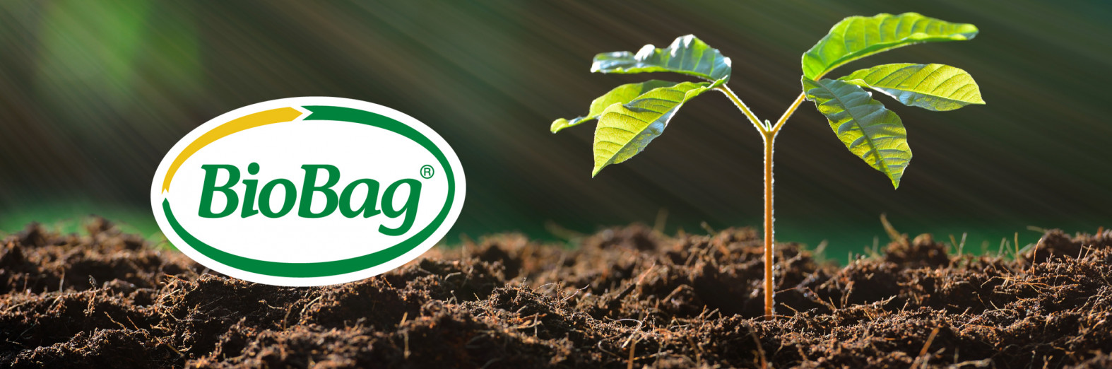 BioBag Growing Tree compostable products