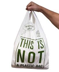 Biodegradable & Compostable Shopping Bag in hand